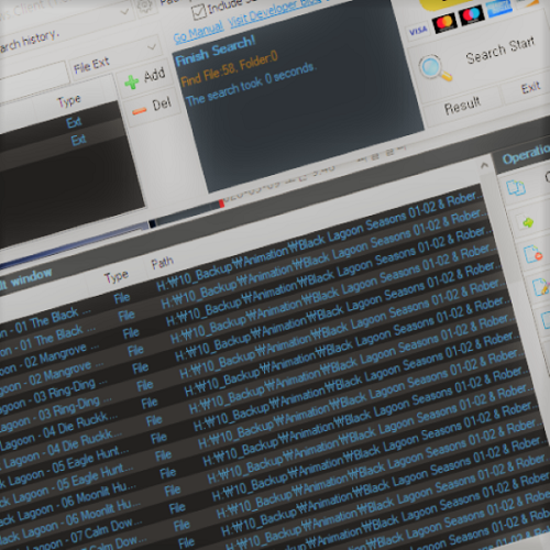 BDFileSearch